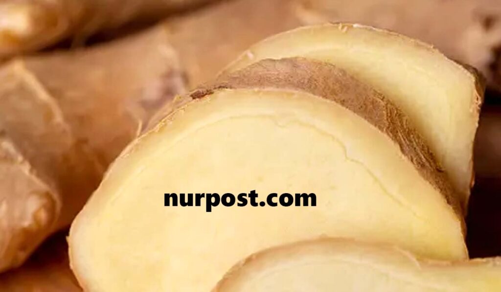 আদা খাওয়ার উপকারিতা ১০ মিনিটের মধ্যে শরিরে আশ্চর্য পরিবর্তন আদা খাওয়ার উপকারিতা ১০ মিনিটের মধ্যে শরিরে আশ্চর্য পরিবর্তন