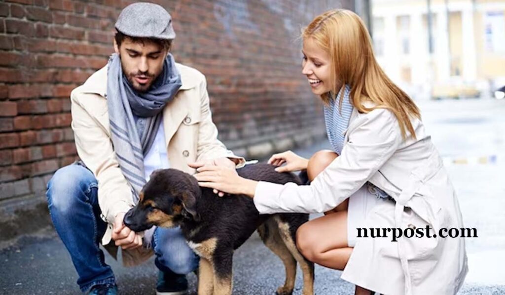 Choosing Pet Health Insurance in 2024 Choosing Pet Health Insurance