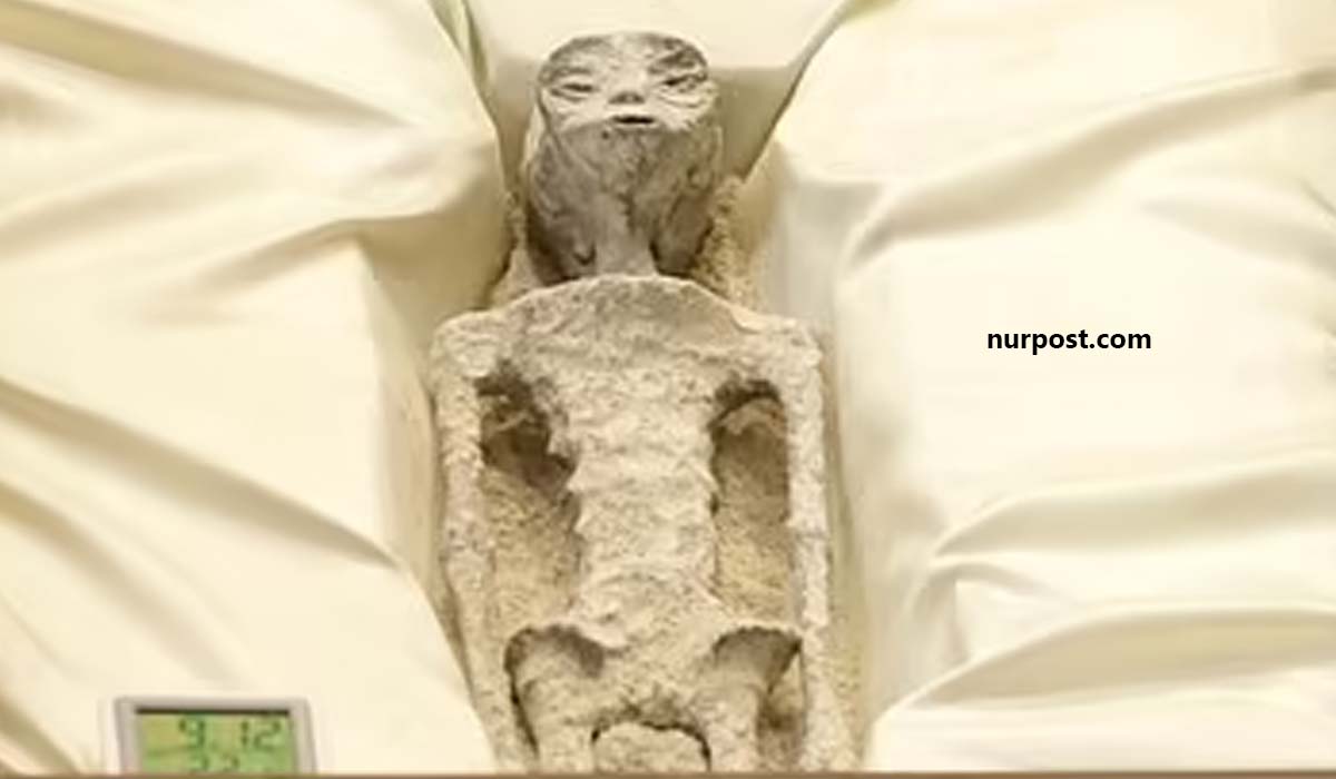 UFO Specialist Presents Alleged ‘Extraterrestrial’ Bodies at Mexico’s Congressional Event UFO Specialist Presents Alleged 'Extraterrestrial' Bodies at Mexico's Congressional Event