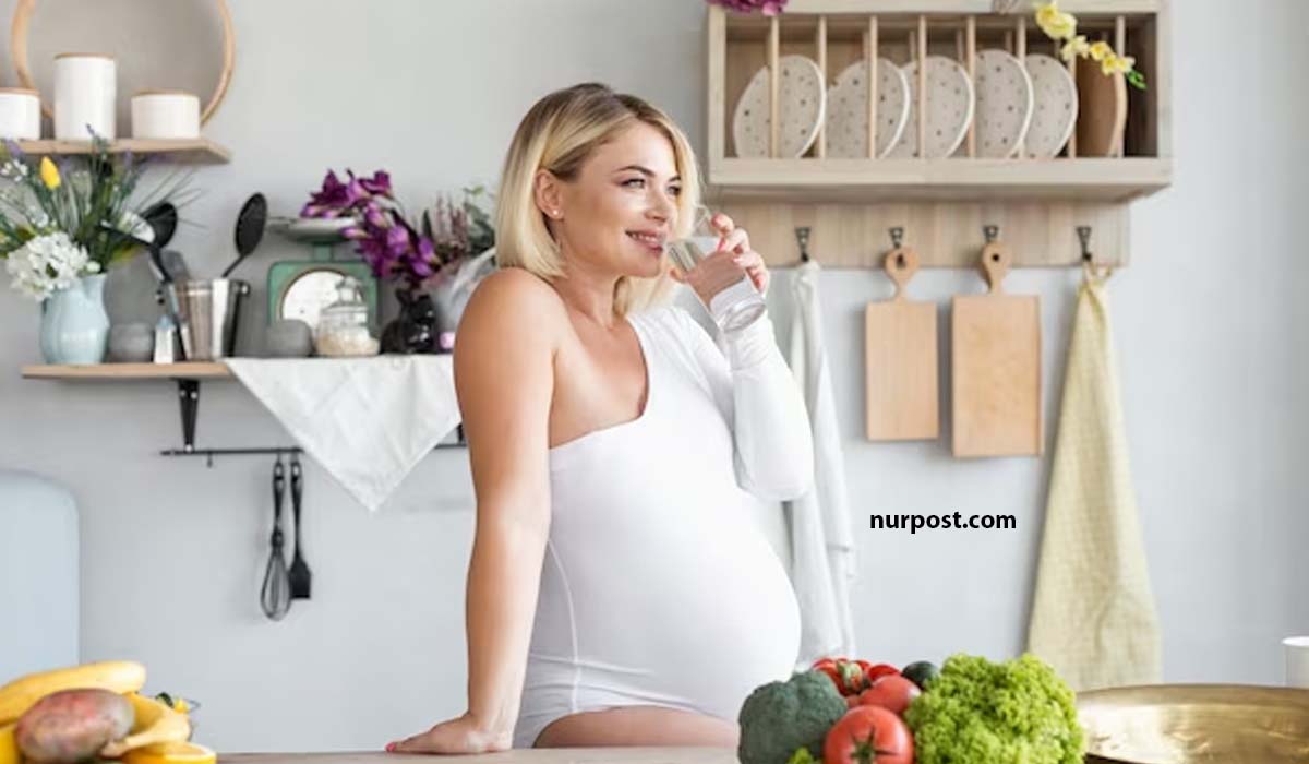 গর্ভবতী মায়ের জন্য আদর্শ ডায়েট চার্ট (সম্পুর্ণ গাইড) গর্ভবতী মায়ের জন্য আদর্শ ডায়েট চার্ট (সম্পুর্ণ গাইড)