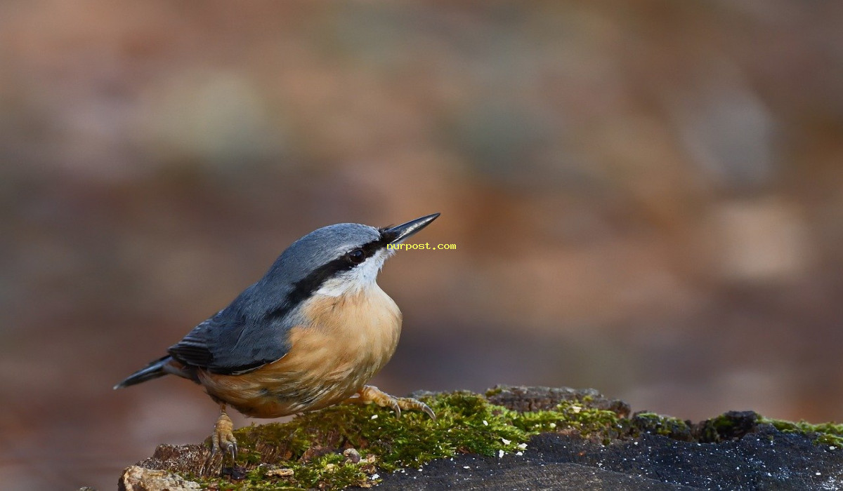Top 10 Reasons to Choose Bangladesh University of Business & Technology for Your Education! Top 10 Ways to Embrace a Healthy and Balanced Lifestyle in 2024